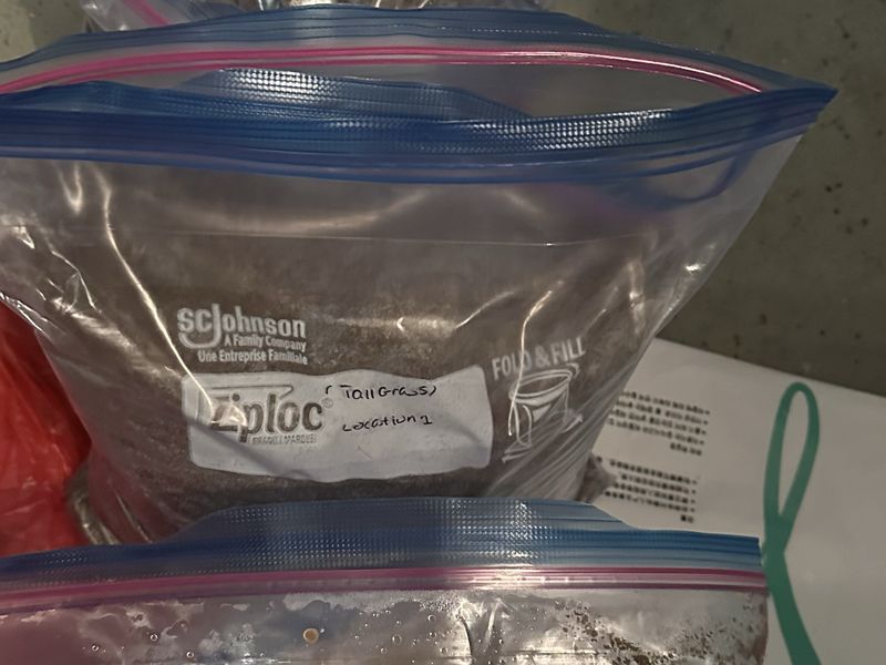 Freezer bags of dark brown soil stacked on a counter, the nearest
                  one hand-labeled in marker with a plant name and a location
                  number.