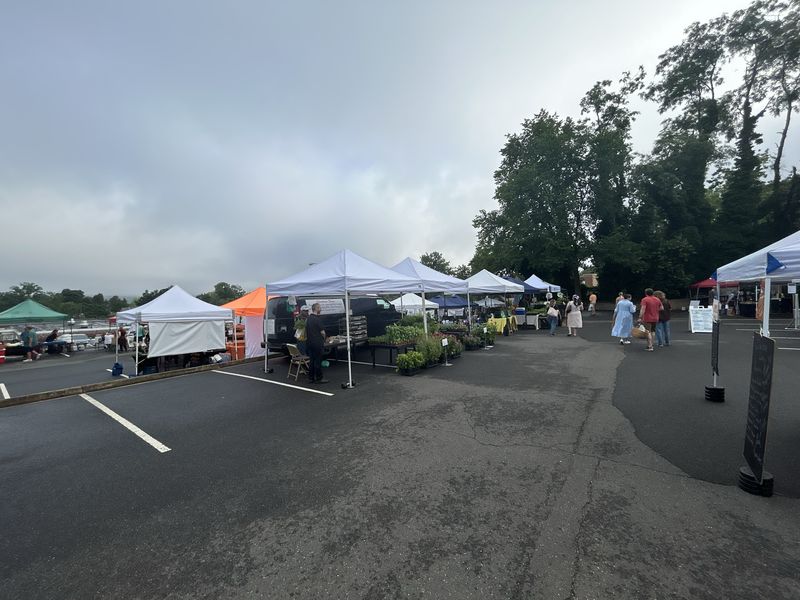 White canopy tents in a parking lot under an overcast sky, tables of
                  seedlings and produce beneath them, a few people walking between the stands.