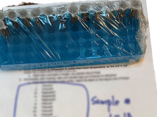 A shrink-wrapped blue rack of sample tubes resting on a printed
                  handling sheet, its text softened, with a hand-written note
                  reading Sample number 1 to 13, labeled on tubes and rack.
